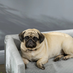 Canapea pentru caini si pisici PawHut D04-159CG (Grey) Thumb