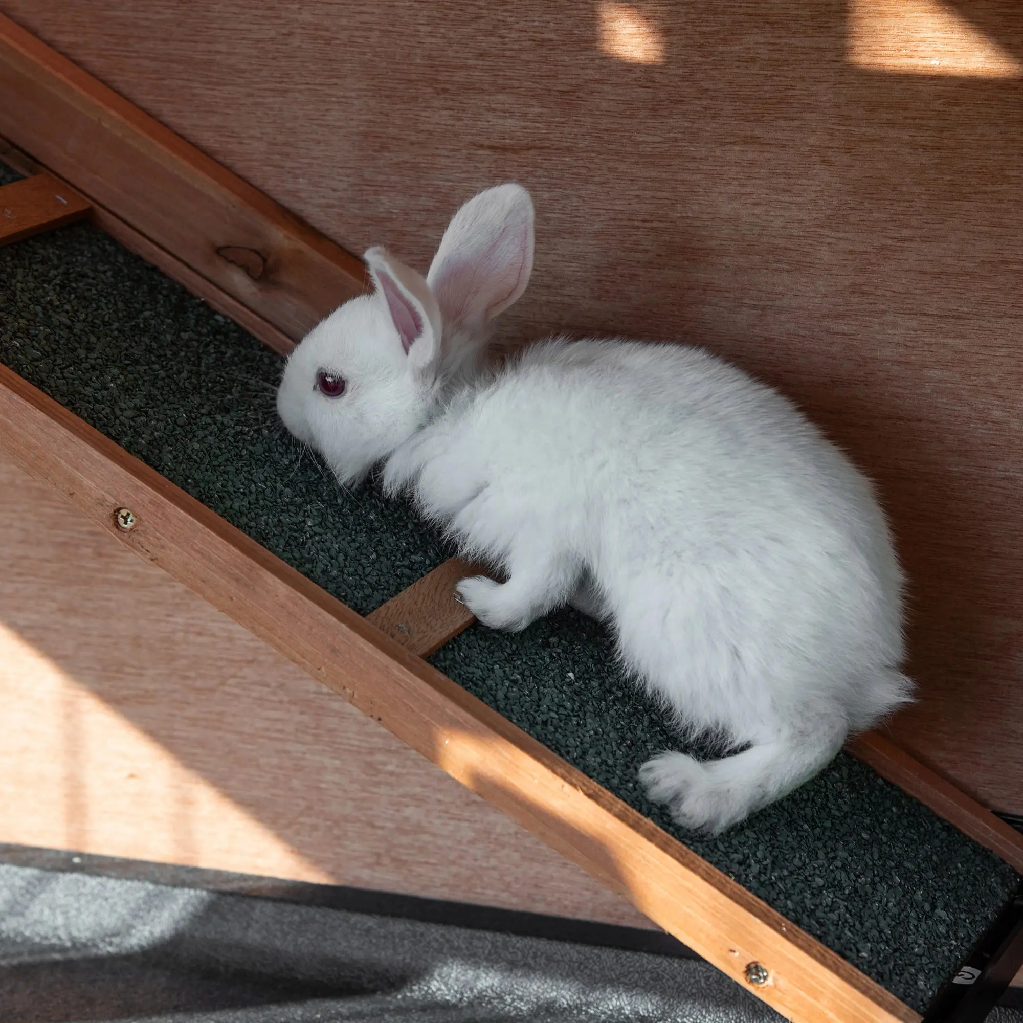 Домик для кроликов и грызунов PawHut D51-315 (Natural) - 4