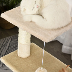 Ansamblu de joaca pentru pisici PawHut D30-285CW (Beige) Thumb