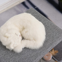 Ansamblu de joaca pentru pisici PawHut D30-298 (Grey) Thumb