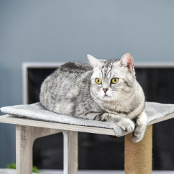 Ansamblu de joaca pentru pisici PawHut D30-318 (Grey) Thumb