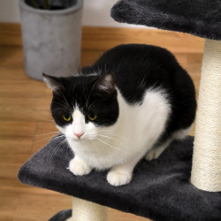 Ansamblu de joaca pentru pisici PawHut D30-351 (Dark Grey) Thumb