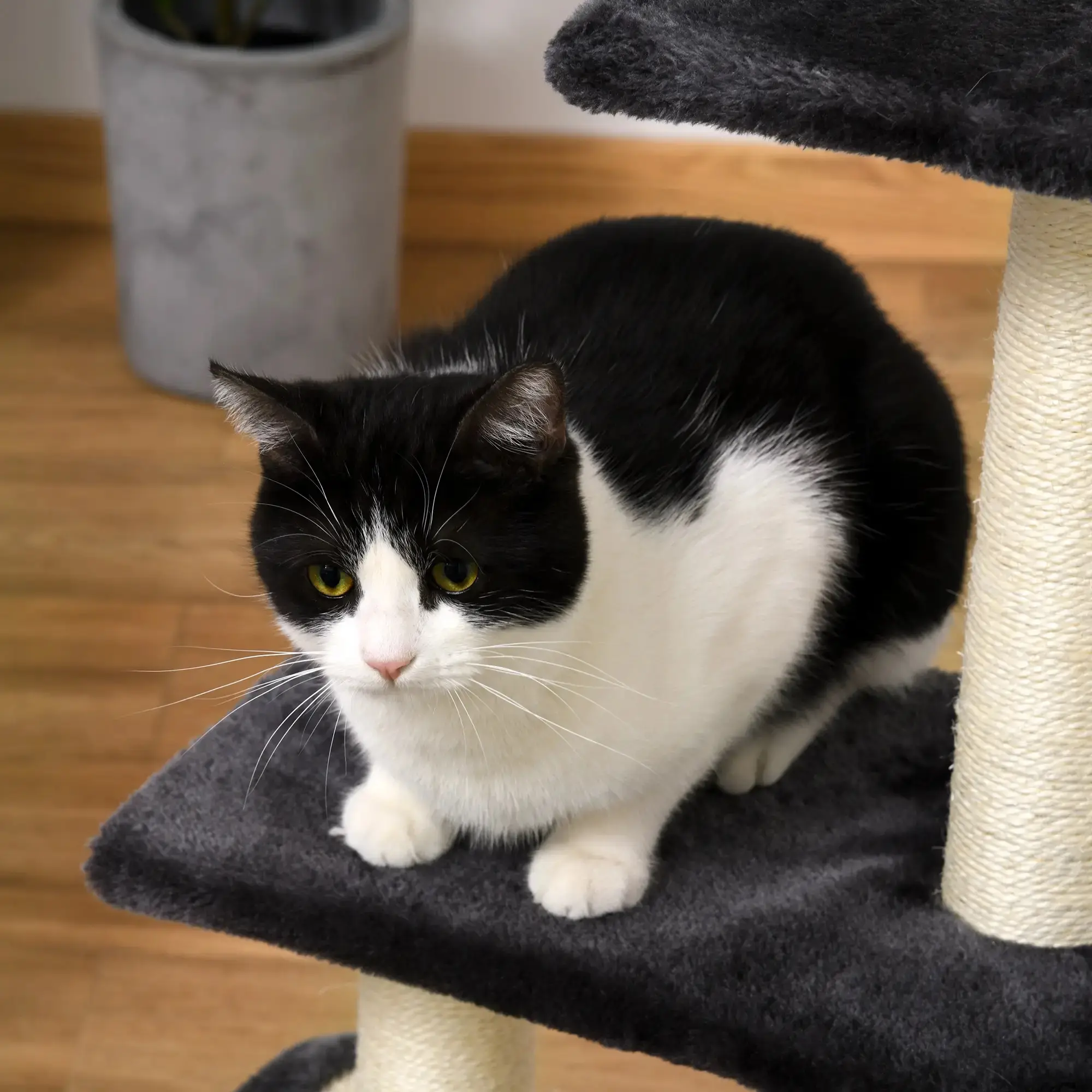 Ansamblu de joaca pentru pisici PawHut D30-351 (Dark Grey) - 6