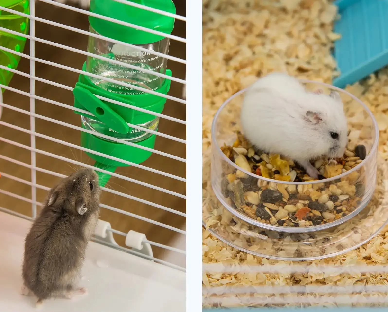 Клетка для хомяков PawHut D51-234BU (Blue) - 5