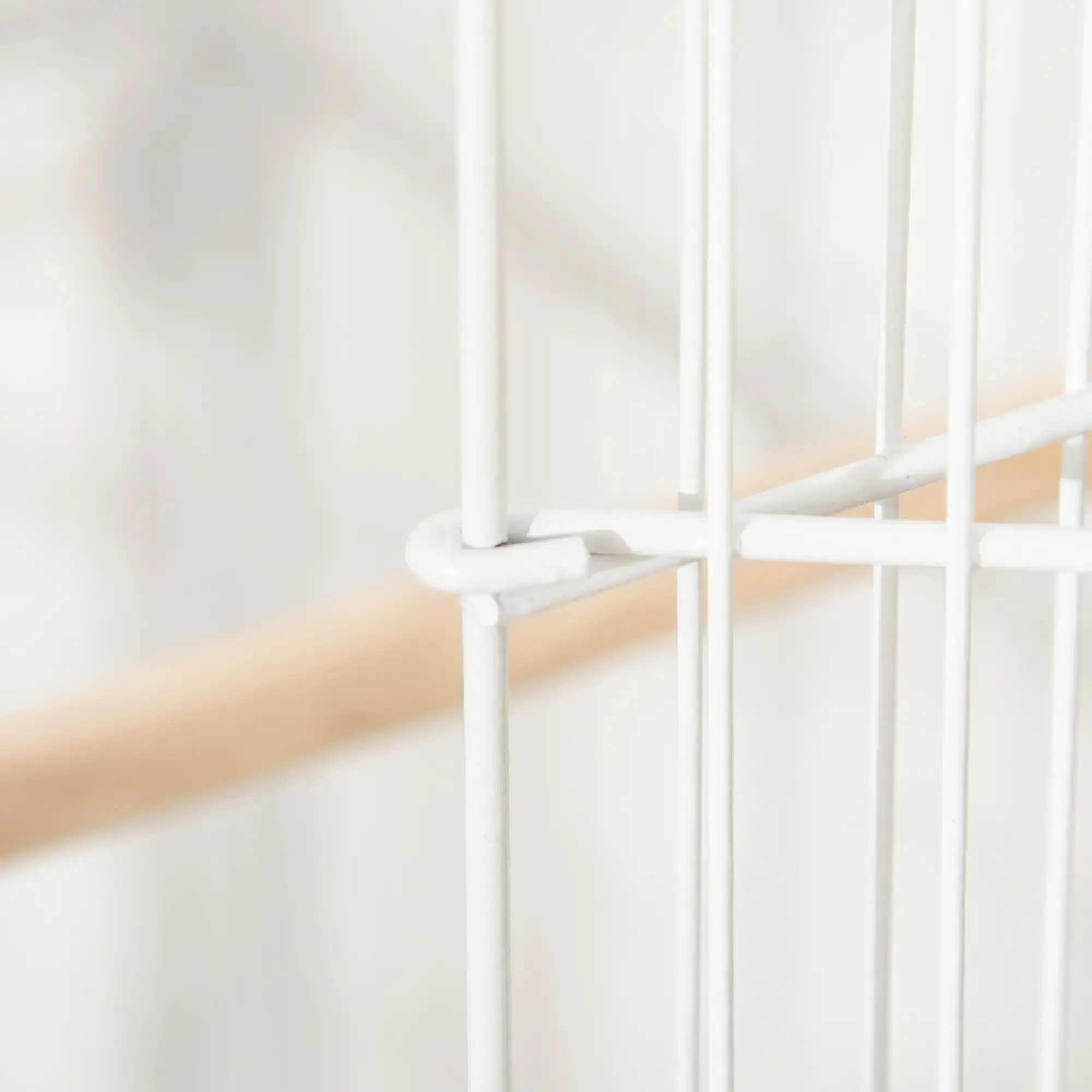 Colivie pentru pasari PawHut D10-075WT (White) - 3