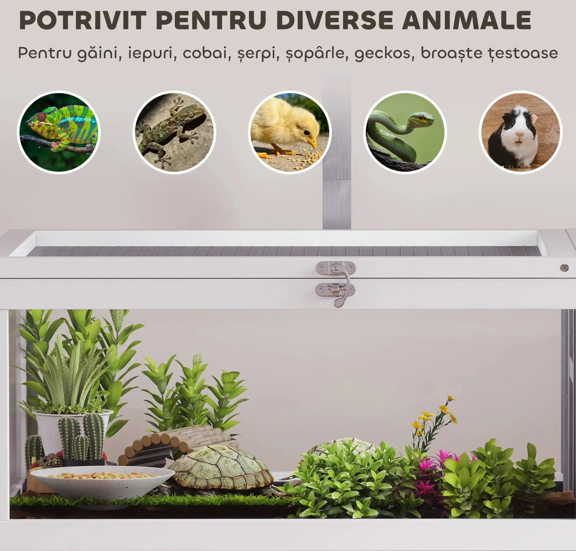 Terariu pentru reptile PawHut D40-054V00GY (Grey/White) - 4