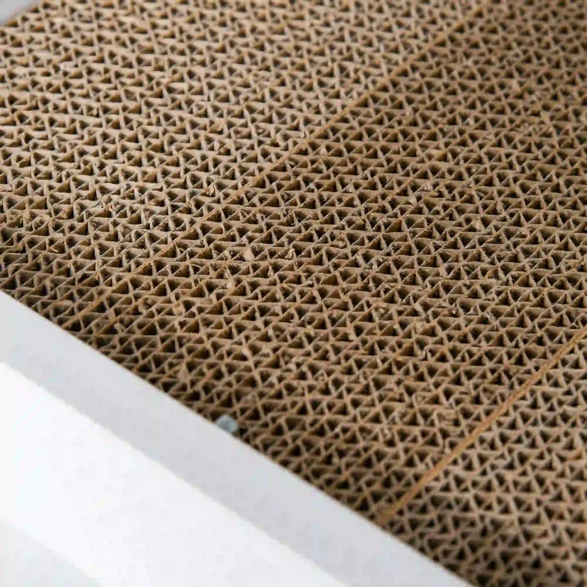 Casuta pentru litiera pisici PawHut D31-016WT (White) - 4