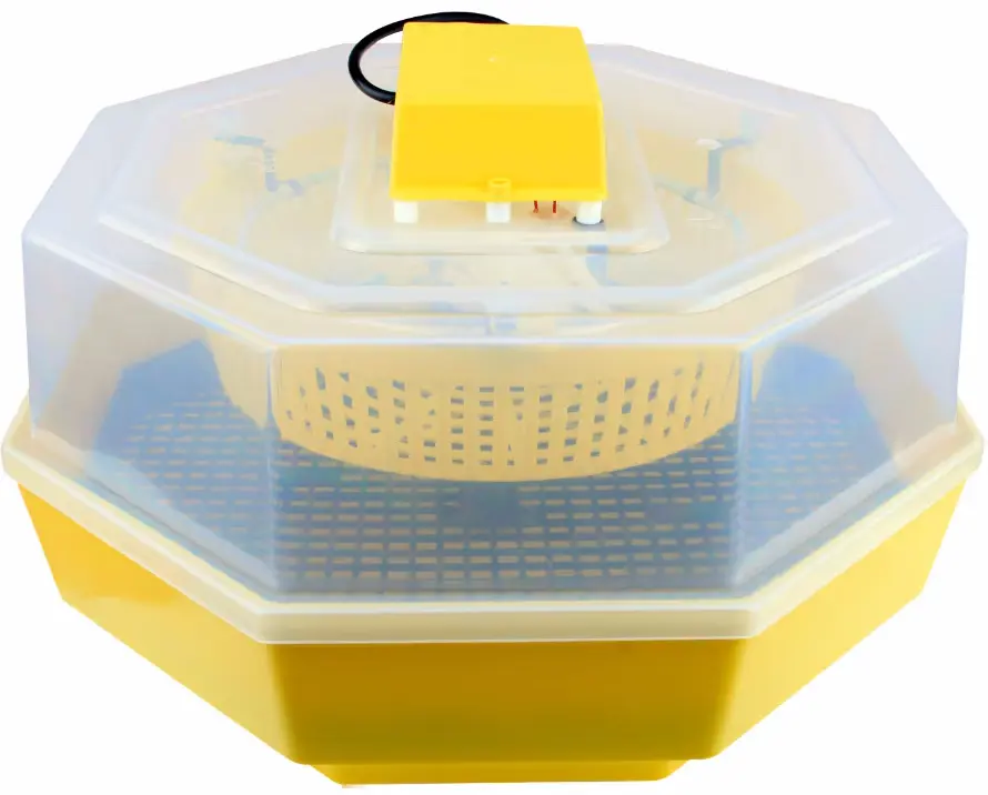 Инкубатор Cleo 5 (647117)