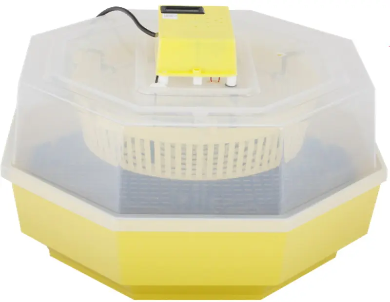 Incubator Cleo 5 (647170)