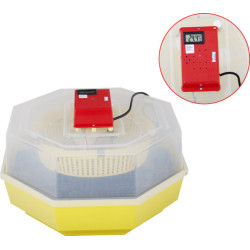 Incubator Cleo 5 (673770) Thumb