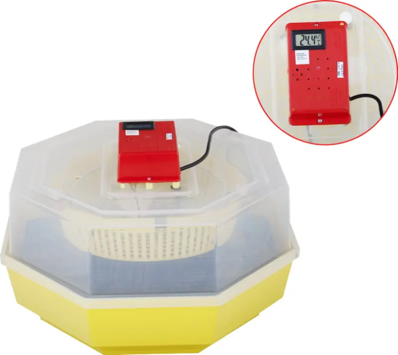 Incubator Cleo 5 (673770) - 2