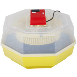 Incubator Cleo 5 (673770)