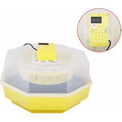 Incubator Cleo 5 (673772) Thumb