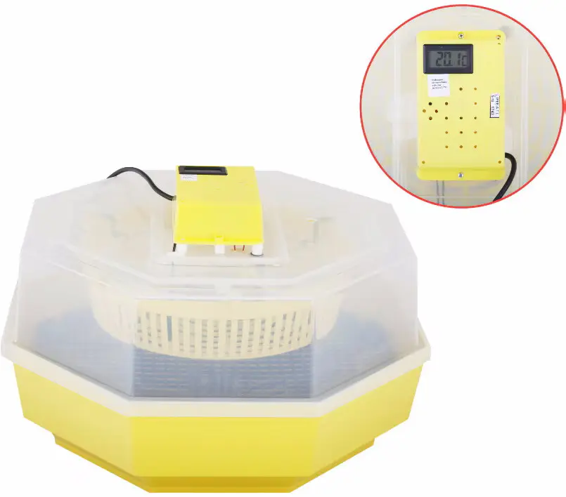 Incubator Cleo 5 (673772) - 2