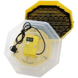 Incubator Cleo 5 (673772) Thumb