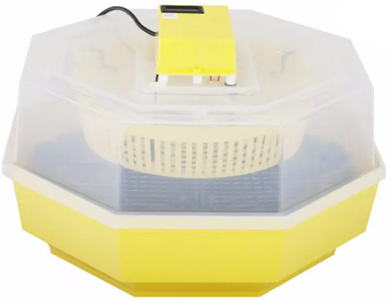 Incubator Cleo 5 (673772)