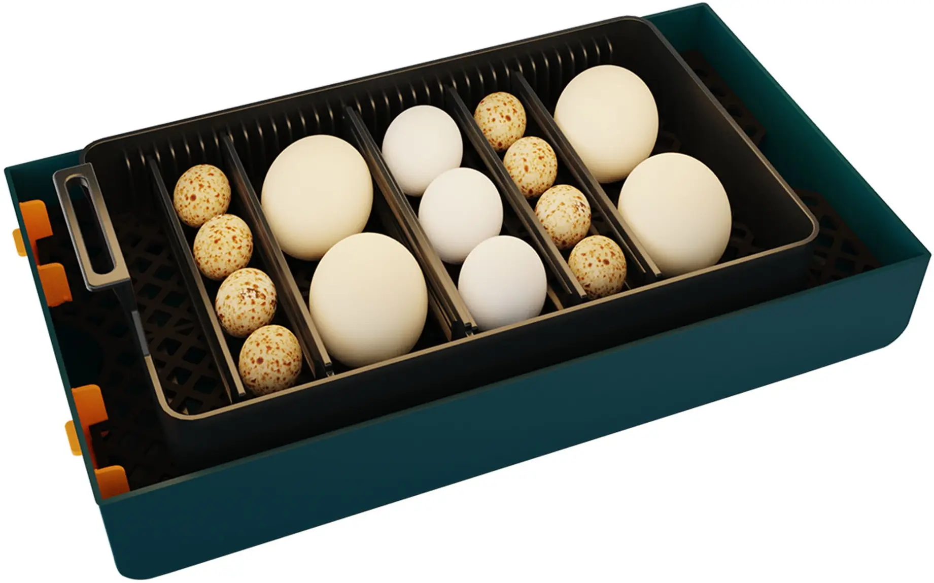 Инкубатор ElectroMures EM 3001