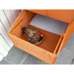 Курятник PawHut D51-143 (Orange/Green) Thumb