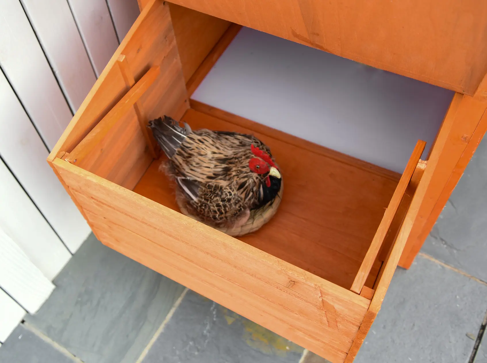 Курятник PawHut D51-143 (Orange/Green) - 3