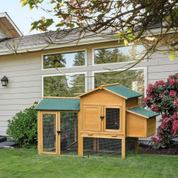 Cotet pentru gaini PawHut D51-191 (Yellow/Green) Thumb