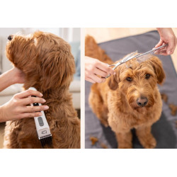 Машинка для стрижки домашних животных Beurer Fluffy PP110 (White) Thumb