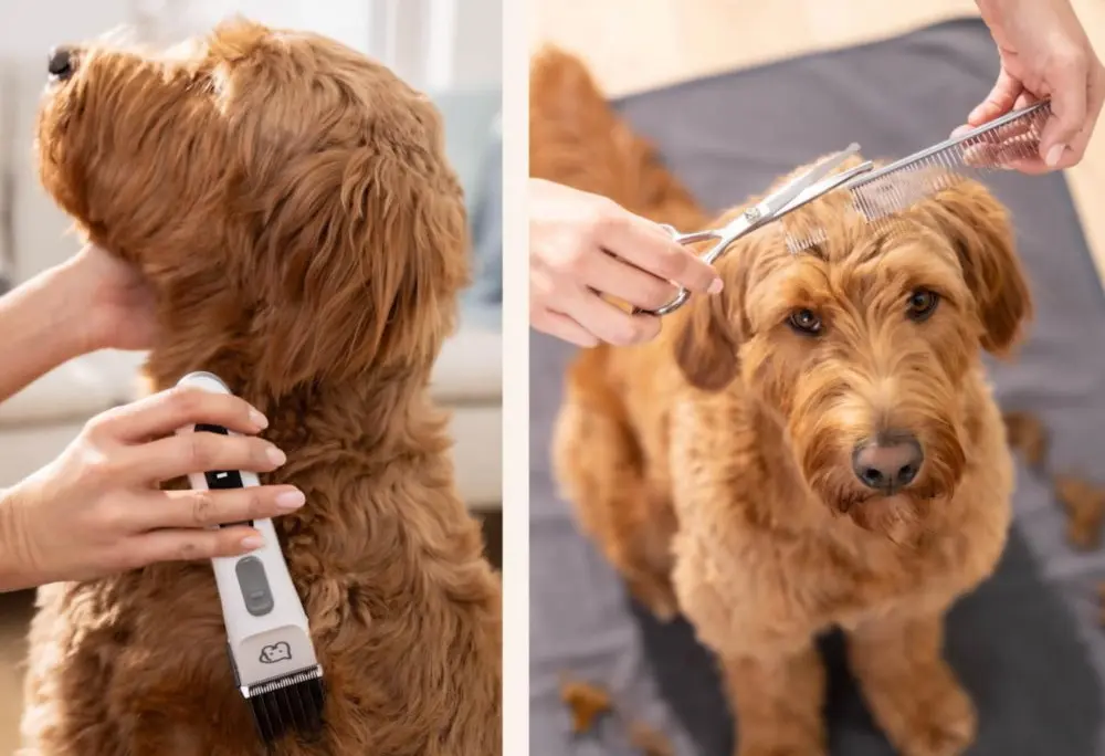 Машинка для стрижки домашних животных Beurer Fluffy PP110 (White) - 3