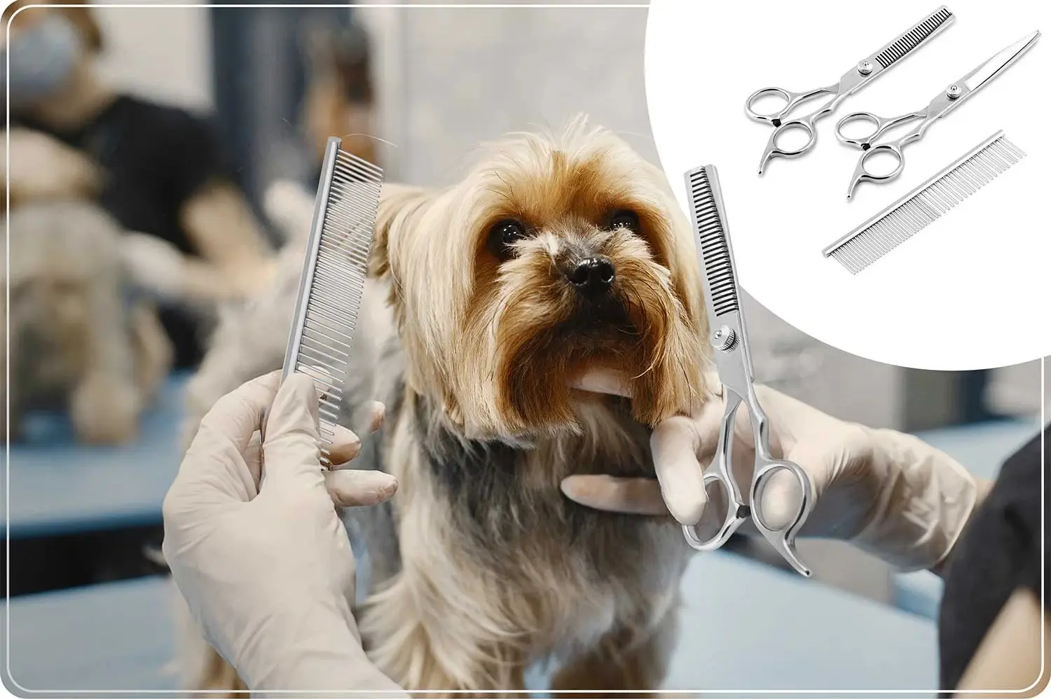 Машинка для стрижки домашних животных Pethaus PH-100 (Grey)