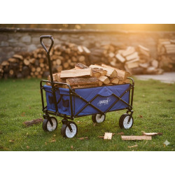 Садовая тележка GardenLine WOZ3556 (Blue) Thumb