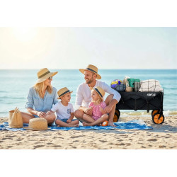 Carucior de gradina Humberg HM-513 551300-2W1 (Black/Orange) Thumb