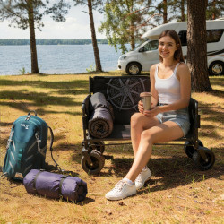 Carucior de gradina Nils Camp NC2606 (Black) Thumb