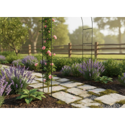 Arca de gradina Chomik N503 (Black) Thumb