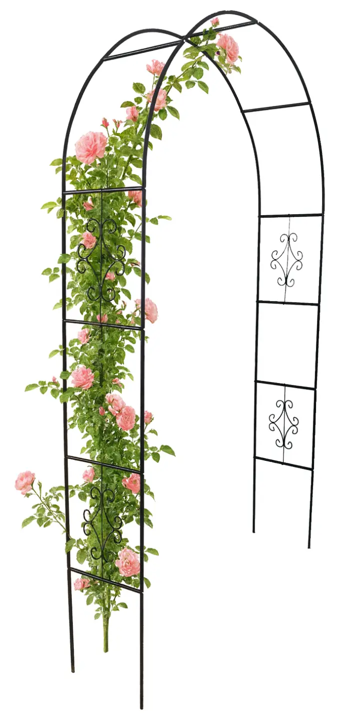 Arca de gradina Chomik N503 (Black)