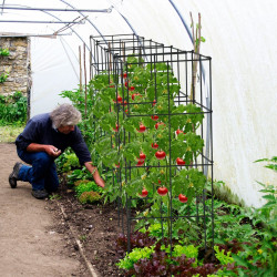 Set grila pentru gradina Costway OP70494 (Green) Thumb