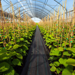 Ткань для мульчирования Costway GT4204 (Black) Thumb