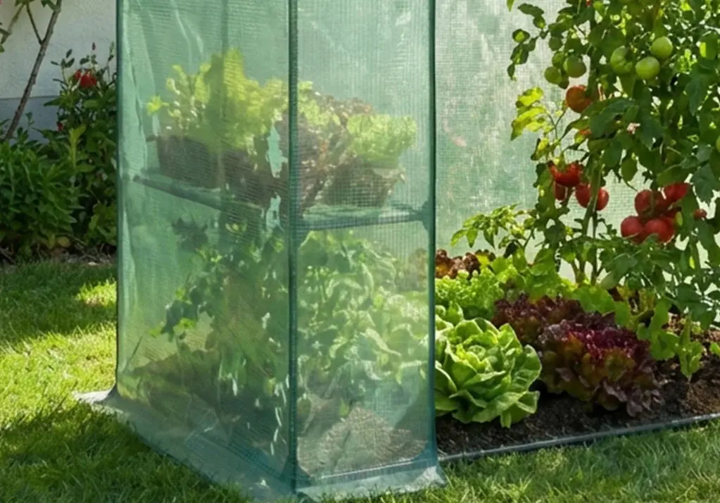 Mini-sera Akord 143x73x195 cm (Green) - 5