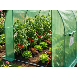 Садовая теплица Akord 200x300x200 cm (Green) Thumb