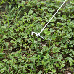 Садовая теплица Outsunny 845-071V01 4x2x2 (White) Thumb