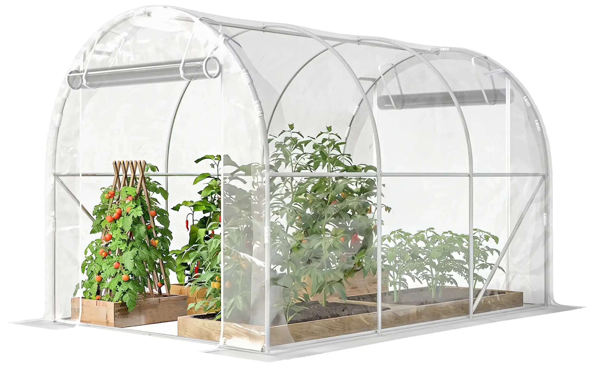 Sera Outsunny 84H-443V00CR (Transparent) - 2