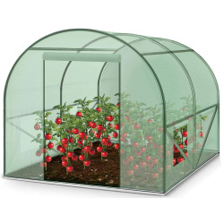 Sera de gradina Plonos 4909-C (Green)