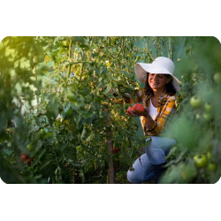 Sera de gradina Plonos 4910-C (Green) Thumb