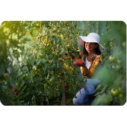 Садовая теплица Plonos 4914-B (Green) Thumb