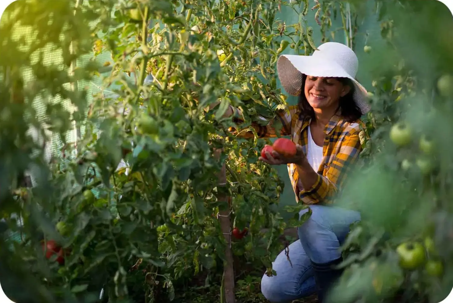 Садовая теплица Plonos 4914-B (Green) - 8