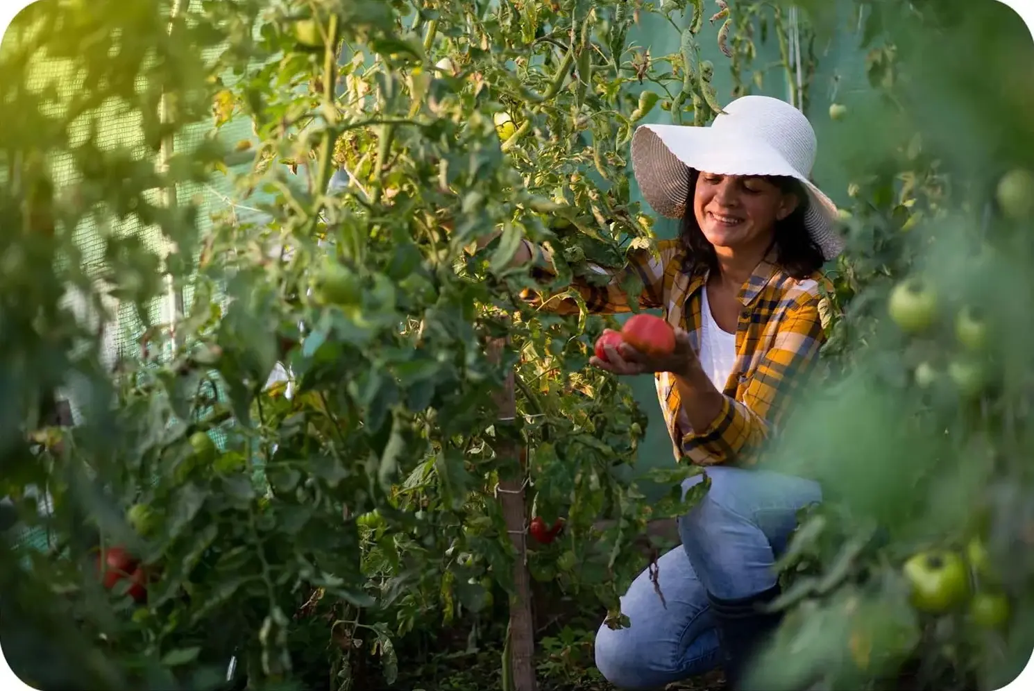 Садовая теплица Plonos 4915-B (Green) - 8