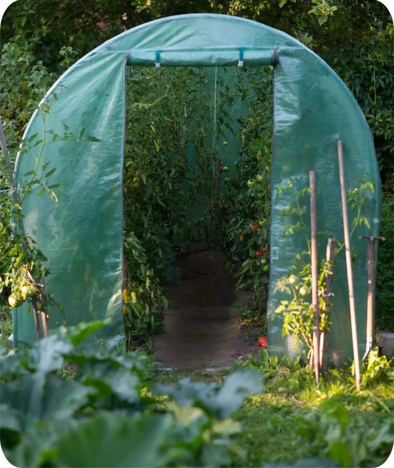 Садовая теплица Plonos 4915-B (Green) - 10