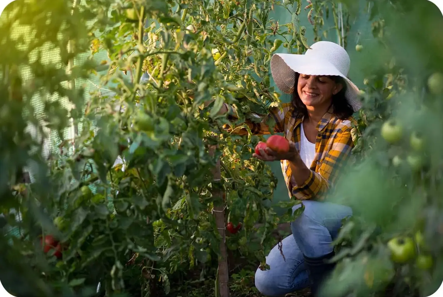 Садовая теплица Plonos 4916-B (Green) - 8