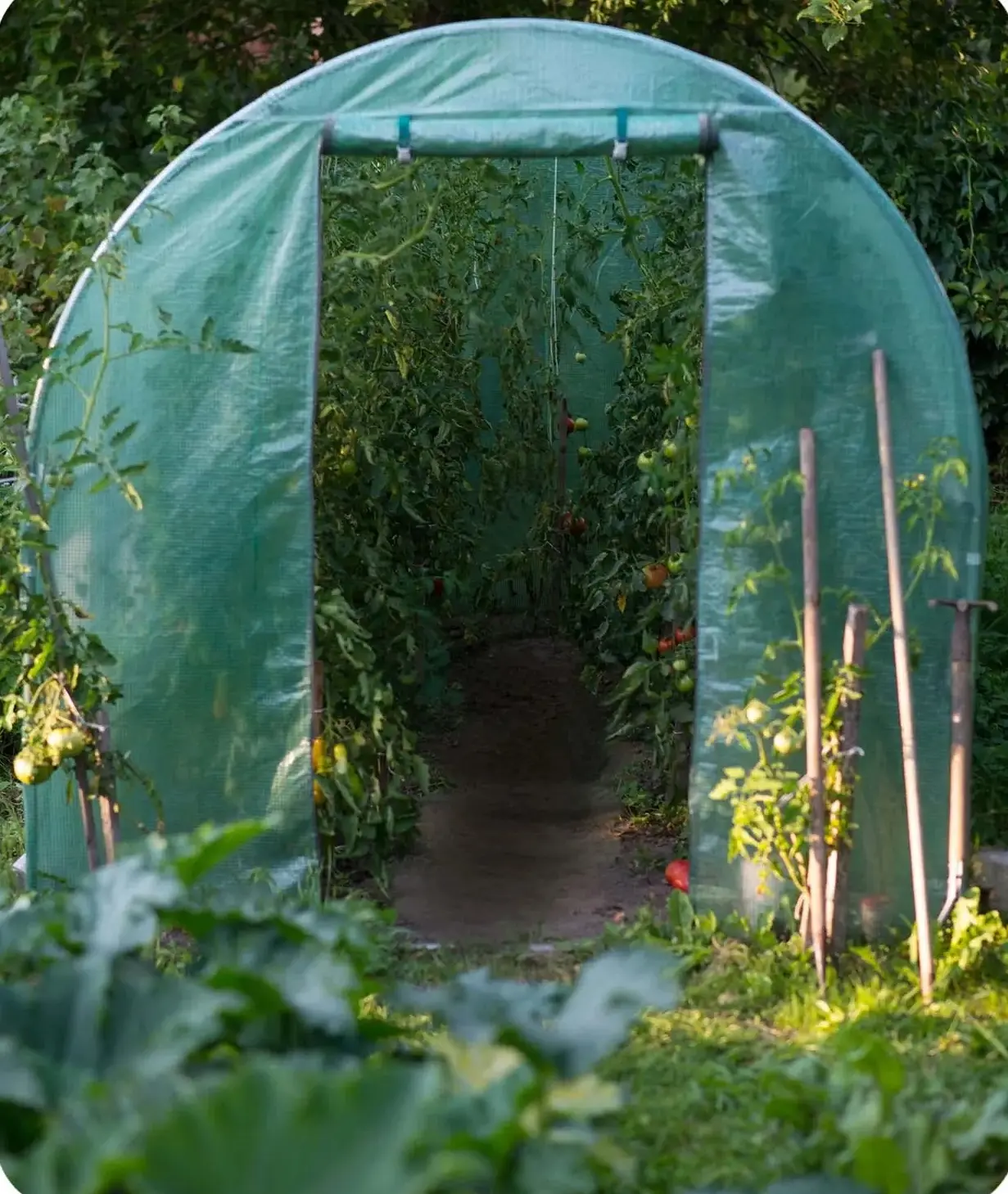 Sera de gradina Plonos 4917-B (Green) - 9