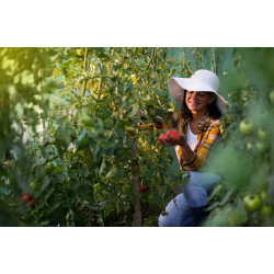 Садовая теплица Plonos 4970-B (White) Thumb