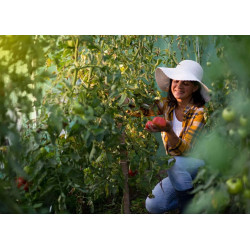 Садовая теплица Plonos 4971-B (White) Thumb