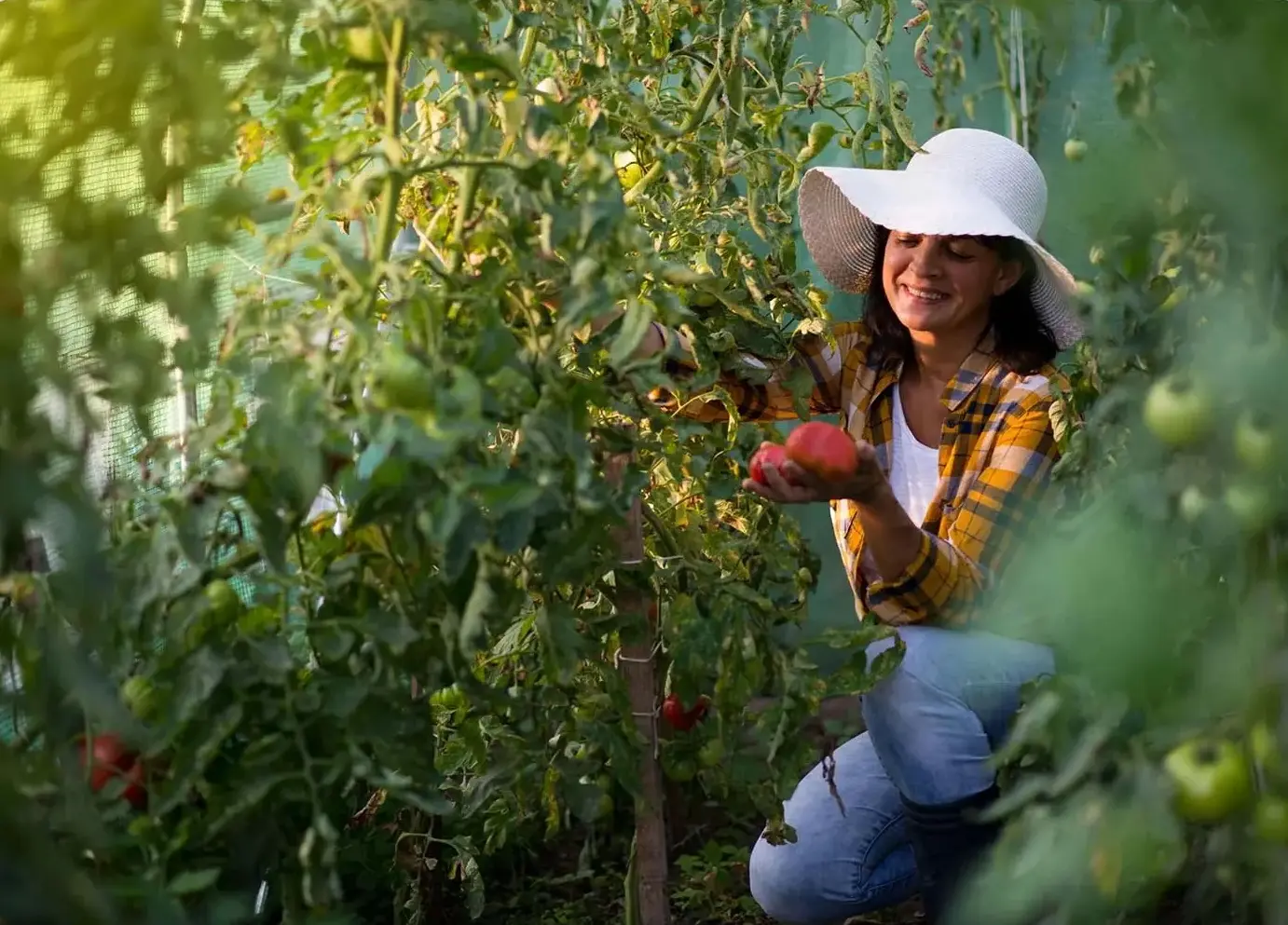 Садовая теплица Plonos 4971-B (White) - 9