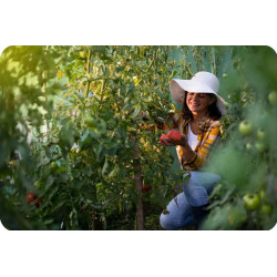 Sera de gradina Plonos 4972-B (White) Thumb